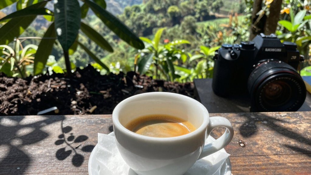 blue mountain coffee terroir certified authenticity